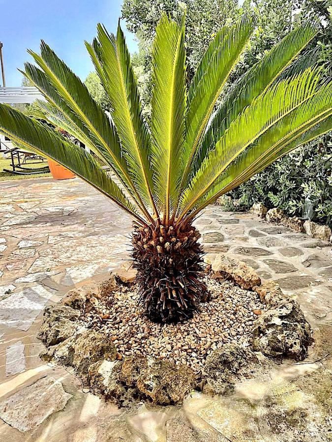 Lorelai Beach Marsala Exteriér fotografie